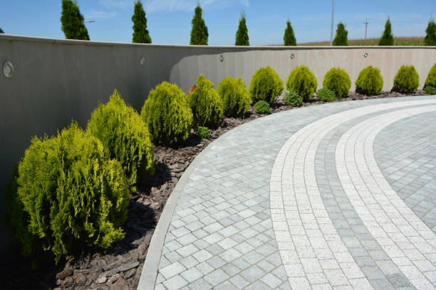  Scanlon, MN Driveway Pavers Pros